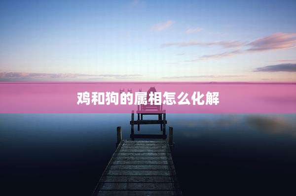鸡和狗的属相怎么化解
