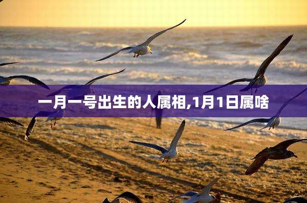一月一号出生的人属相,1月1日属啥