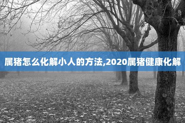 属猪怎么化解小人的方法,2020属猪健康化解