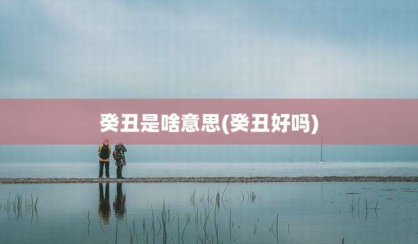 癸丑是啥意思(癸丑好吗)