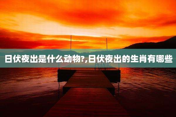 日伏夜出是什么动物?,日伏夜出的生肖有哪些