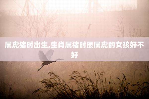 属虎猪时出生,生肖属猪时辰属虎的女孩好不好