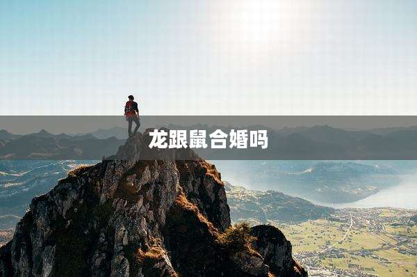 龙跟鼠合婚吗