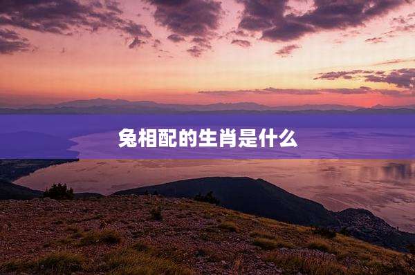 兔相配的生肖是什么