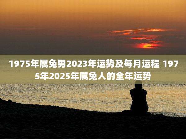 1975年属兔男2023年运势及每月运程 1975年2025年属兔人的全年运势