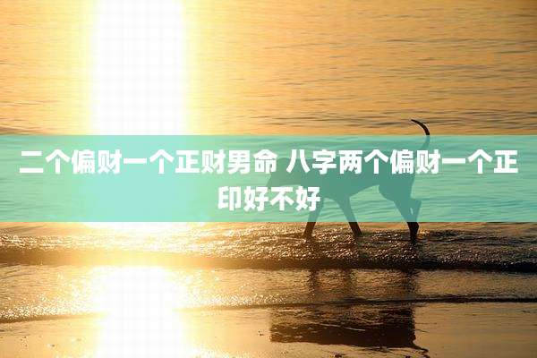 二个偏财一个正财男命 八字两个偏财一个正印好不好