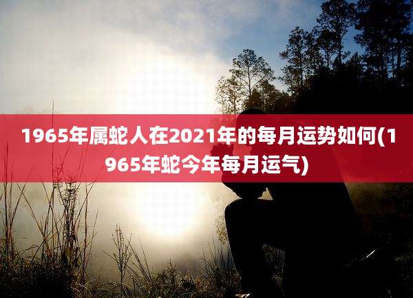 1965年属蛇人在2021年的每月运势如何(1965年蛇今年每月运气)