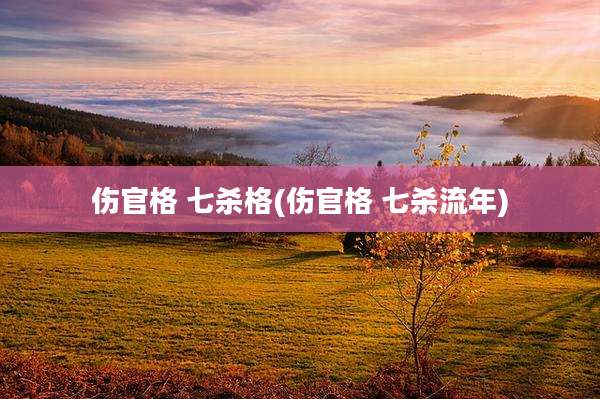 伤官格 七杀格(伤官格 七杀流年)