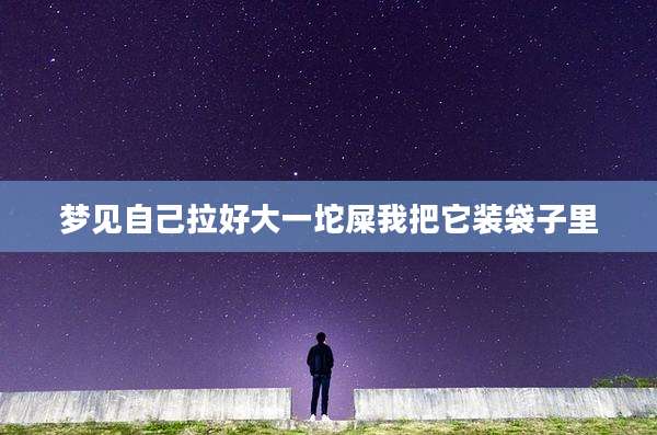 梦见自己拉好大一坨屎我把它装袋子里