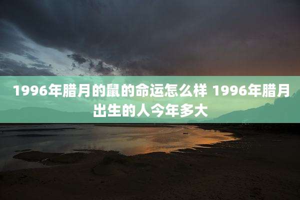 1996年腊月的鼠的命运怎么样 1996年腊月出生的人今年多大