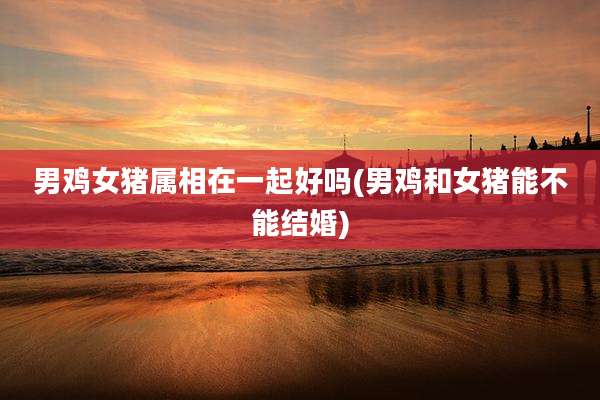 男鸡女猪属相在一起好吗(男鸡和女猪能不能结婚)