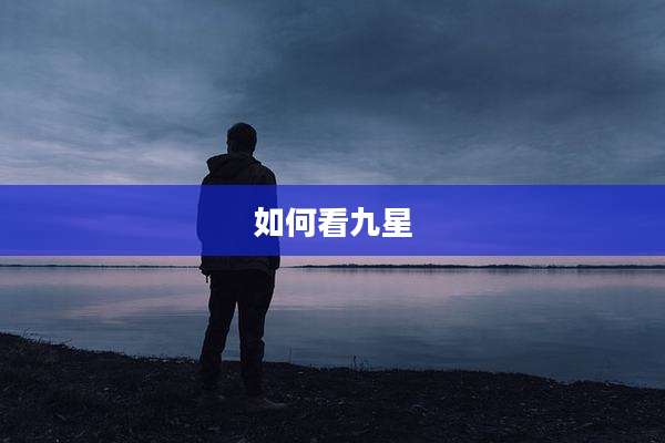 如何看九星