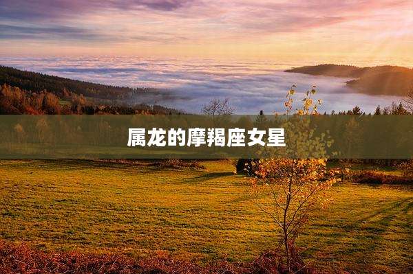 属龙的摩羯座女星