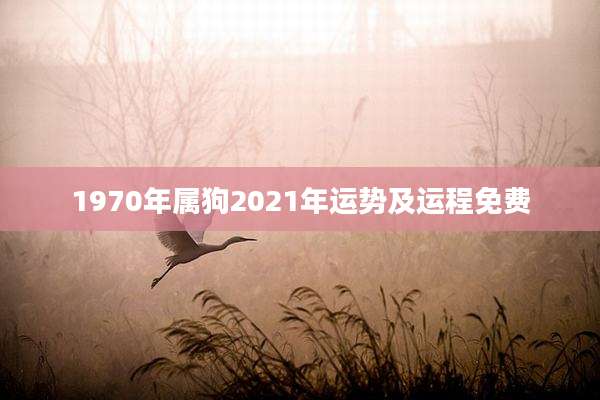 1970年属狗2021年运势及运程免费
