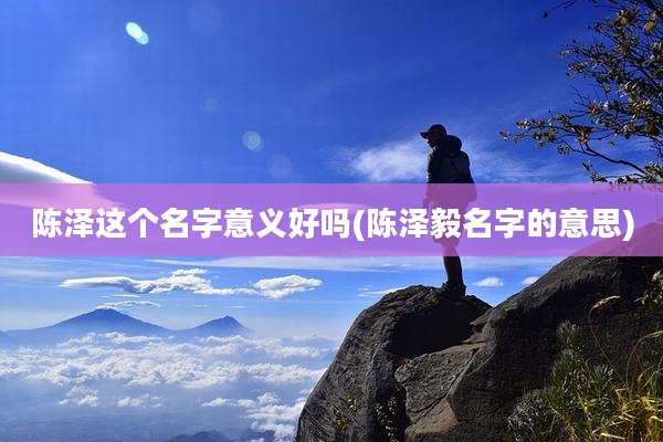 陈泽这个名字意义好吗(陈泽毅名字的意思)