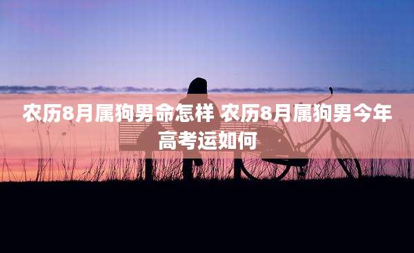 农历8月属狗男命怎样 农历8月属狗男今年高考运如何