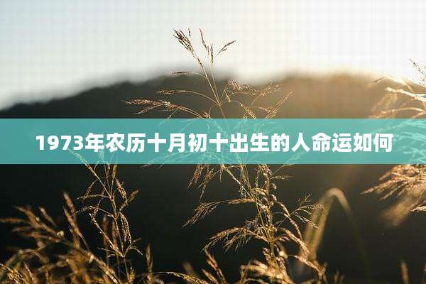 1973年农历十月初十出生的人命运如何