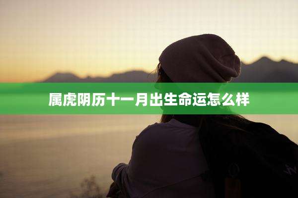 属虎阴历十一月出生命运怎么样