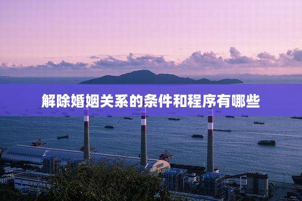 解除婚姻关系的条件和程序有哪些