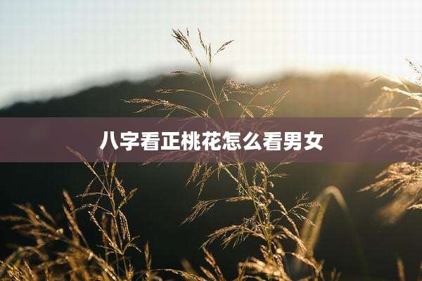 八字看正桃花怎么看男女