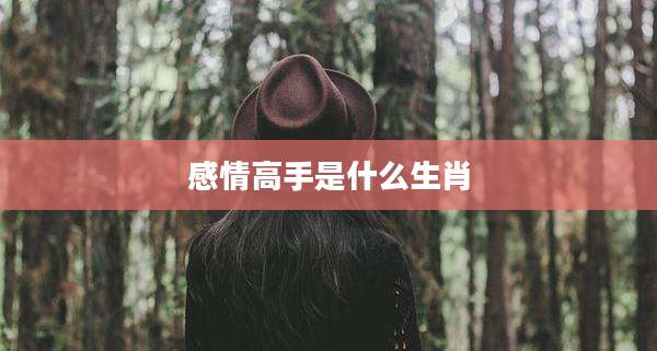 感情高手是什么生肖