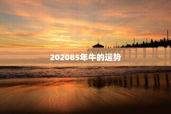 202085年牛的运势