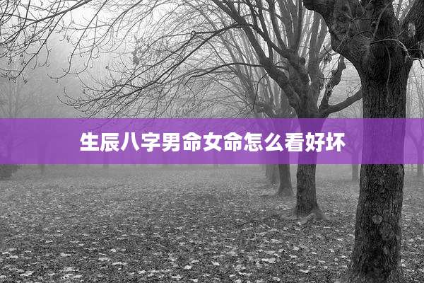 生辰八字男命女命怎么看好坏