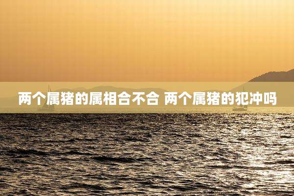 两个属猪的属相合不合 两个属猪的犯冲吗