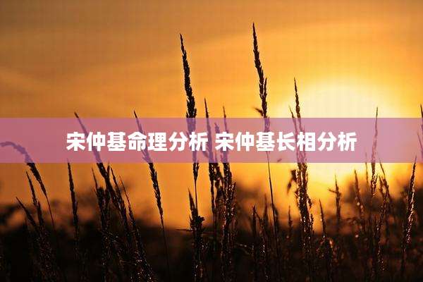 宋仲基命理分析 宋仲基长相分析