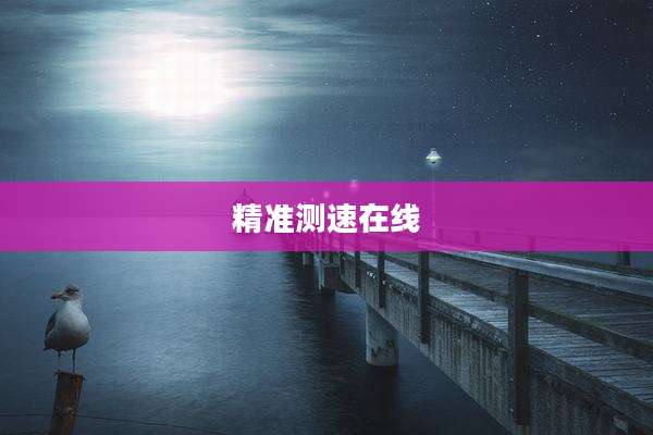 精准测速在线