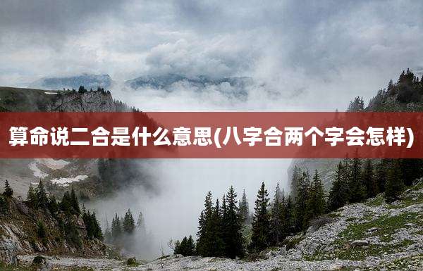 算命说二合是什么意思(八字合两个字会怎样)