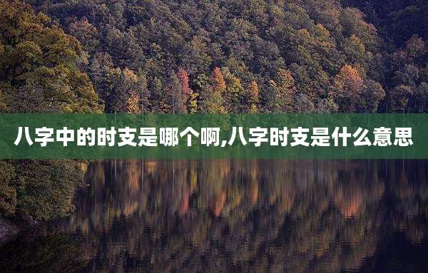 八字中的时支是哪个啊,八字时支是什么意思