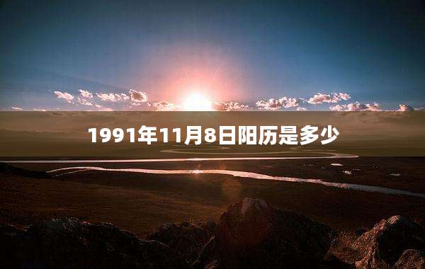 1991年11月8日阳历是多少