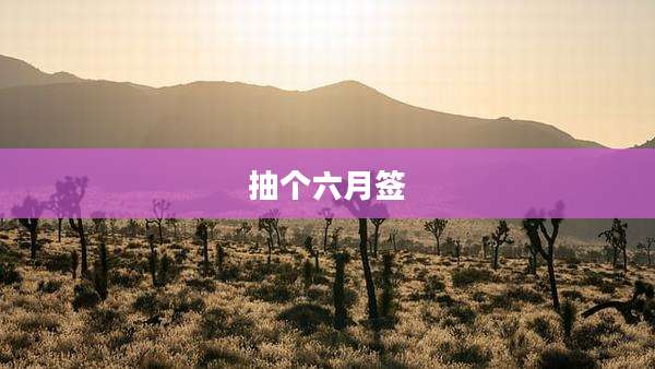 抽个六月签