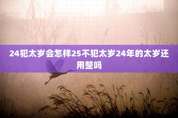 24犯太岁会怎样25不犯太岁24年的太岁还用整吗