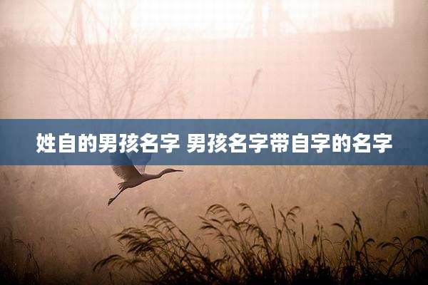 姓自的男孩名字 男孩名字带自字的名字