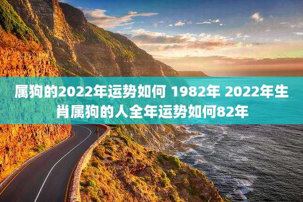 属狗的2022年运势如何 1982年 2022年生肖属狗的人全年运势如何82年