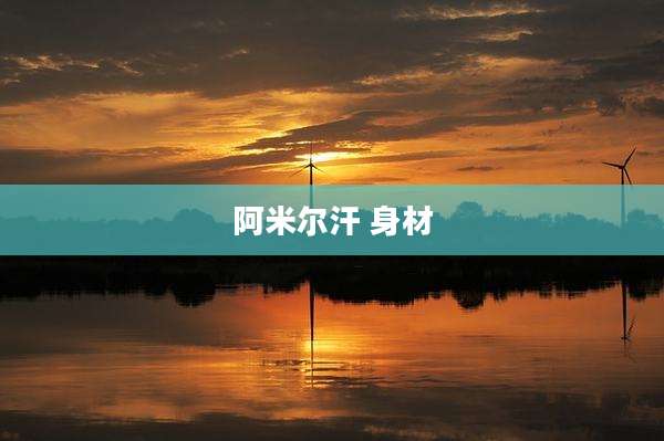 阿米尔汗 身材
