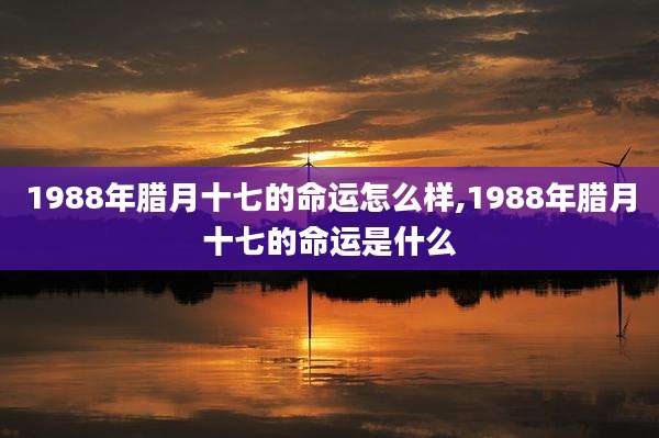 1988年腊月十七的命运怎么样,1988年腊月十七的命运是什么