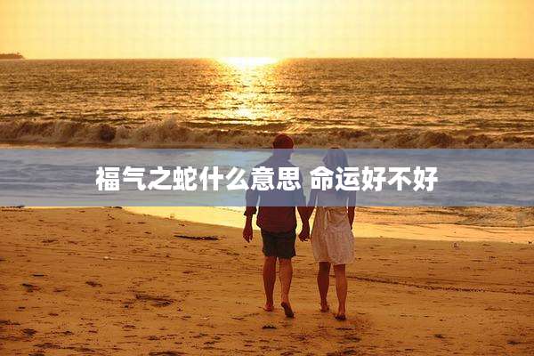 福气之蛇什么意思 命运好不好