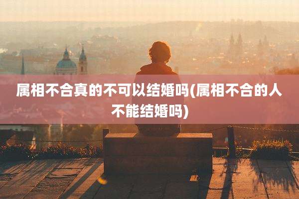 属相不合真的不可以结婚吗(属相不合的人不能结婚吗)