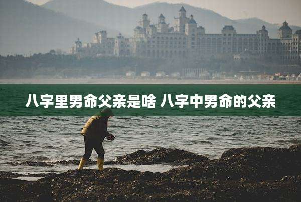八字里男命父亲是啥 八字中男命的父亲