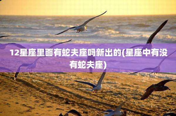 12星座里面有蛇夫座吗新出的(星座中有没有蛇夫座)