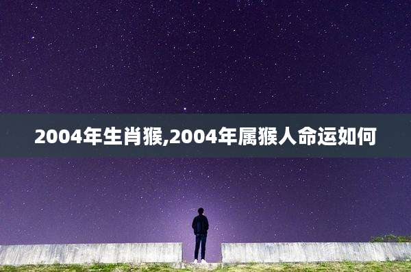 2004年生肖猴,2004年属猴人命运如何