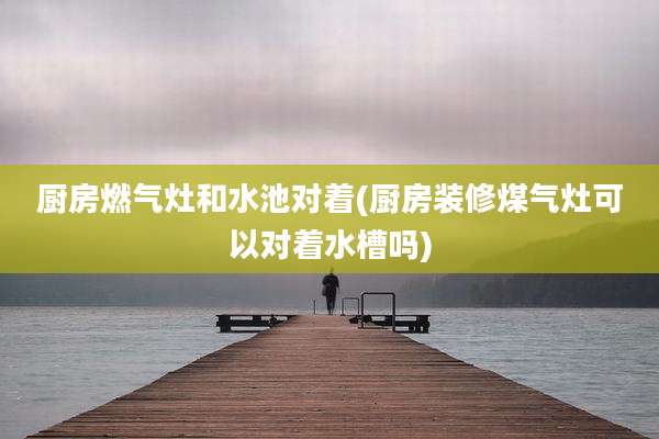 厨房燃气灶和水池对着(厨房装修煤气灶可以对着水槽吗)