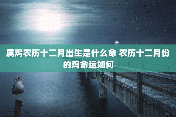 属鸡农历十二月出生是什么命 农历十二月份的鸡命运如何