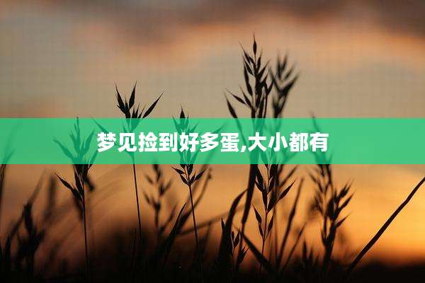 梦见捡到好多蛋,大小都有
