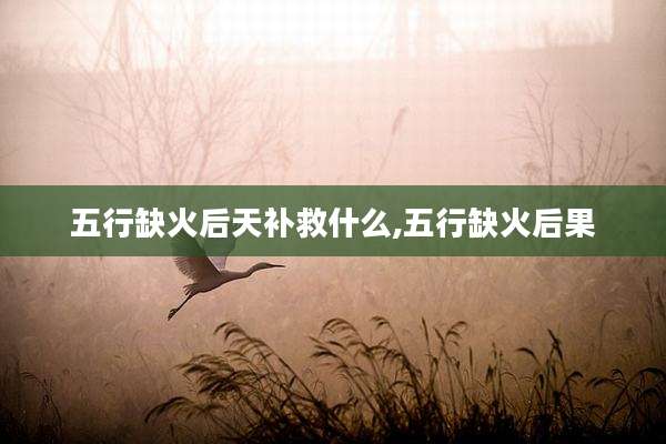 五行缺火后天补救什么,五行缺火后果