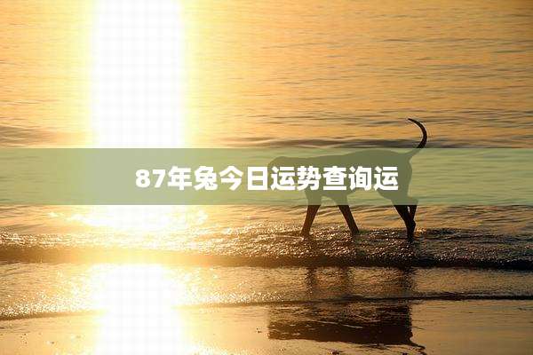 87年兔今日运势查询运
