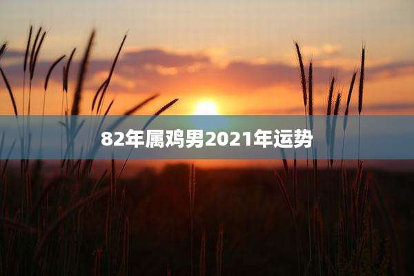 82年属鸡男2021年运势